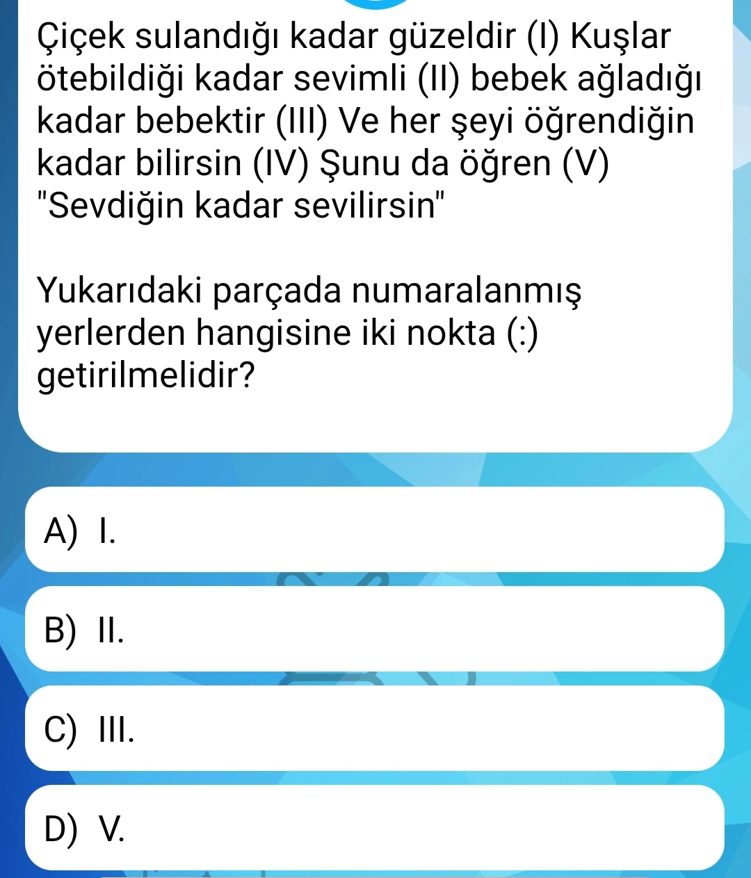 Soru Görseli